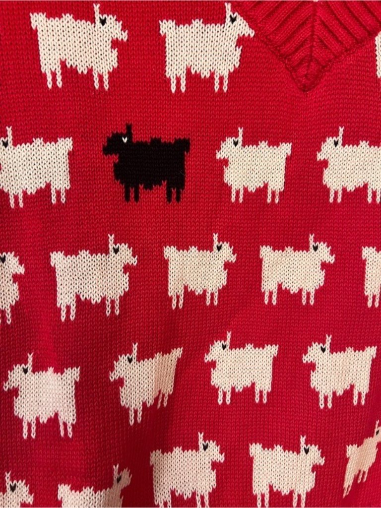 Warm & Wonderful Women's Diana Edition Cotton Linen V-Necksheep Sweater Red, S M — image 6 of 8